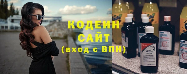 2c-b Инта