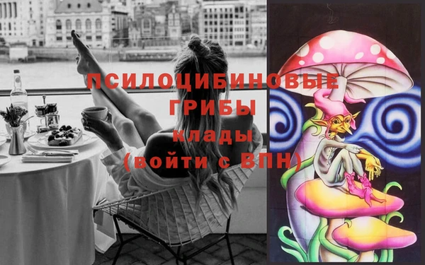 2c-b Инта