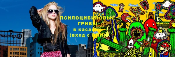 2c-b Инта