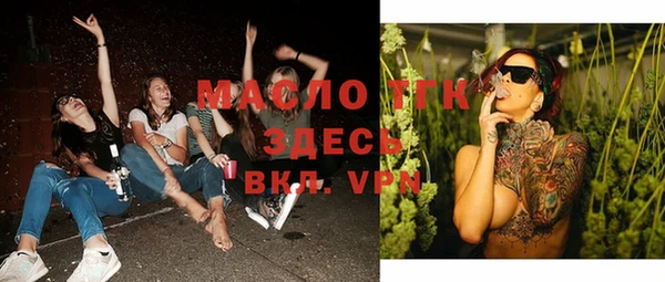 Альфа ПВП Инсар