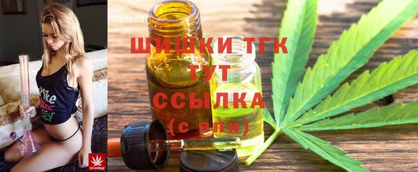 Альфа ПВП Инсар