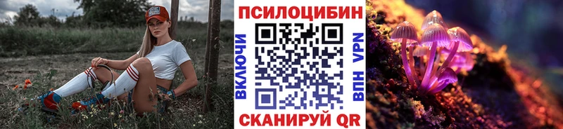 Купить  Минусинск  Псилоцибиновые грибы Psilocybine cubensis 